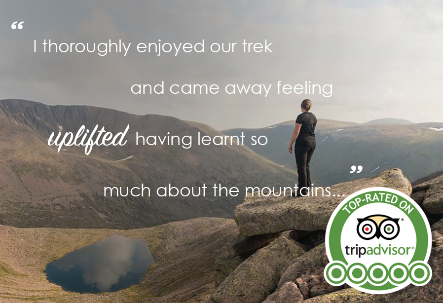 Top rated on trip advisor, image quote testimonial